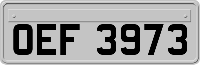OEF3973