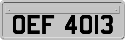 OEF4013