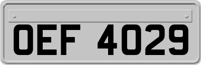 OEF4029