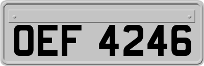 OEF4246