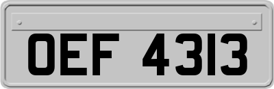 OEF4313