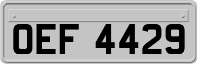 OEF4429