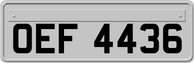 OEF4436
