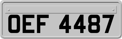 OEF4487