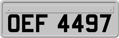 OEF4497