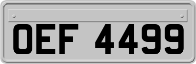 OEF4499
