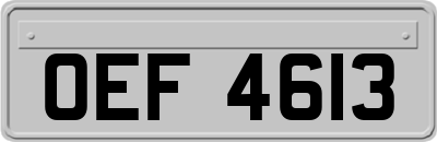 OEF4613