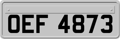 OEF4873