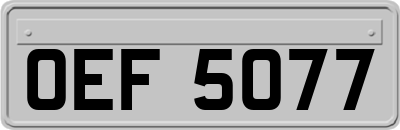 OEF5077
