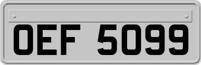 OEF5099