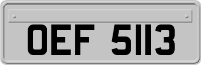 OEF5113