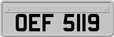OEF5119