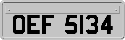 OEF5134