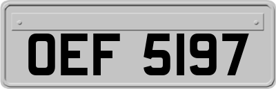 OEF5197