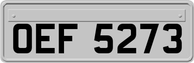 OEF5273
