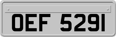 OEF5291