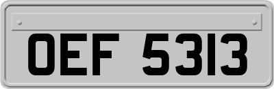 OEF5313