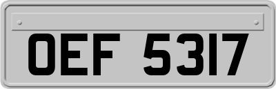 OEF5317