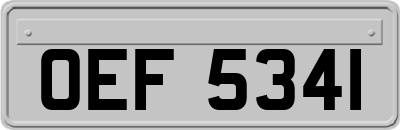 OEF5341