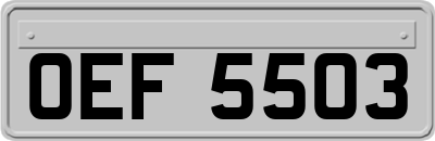 OEF5503