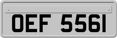 OEF5561