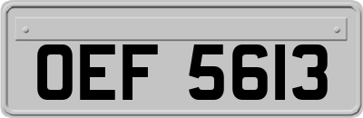 OEF5613