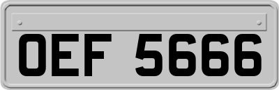 OEF5666