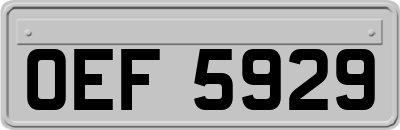 OEF5929