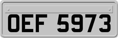 OEF5973