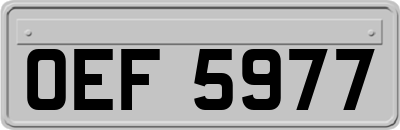 OEF5977