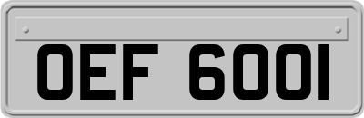 OEF6001