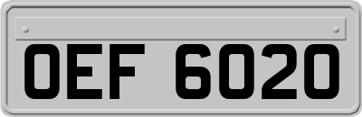 OEF6020
