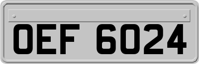 OEF6024