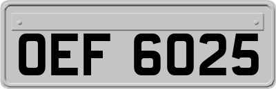OEF6025