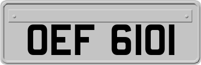 OEF6101