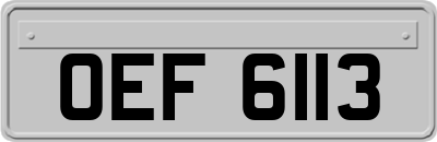 OEF6113