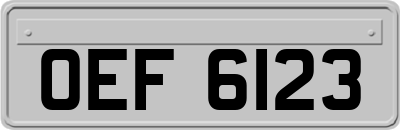 OEF6123