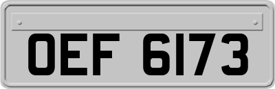 OEF6173
