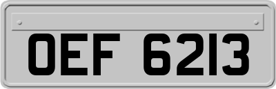 OEF6213