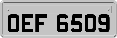 OEF6509