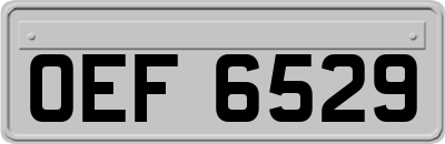 OEF6529