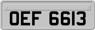OEF6613
