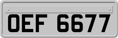 OEF6677