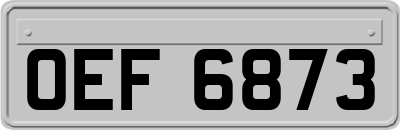 OEF6873