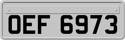 OEF6973