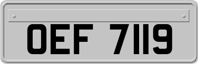 OEF7119