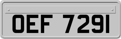 OEF7291