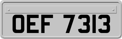 OEF7313