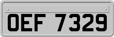 OEF7329