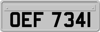OEF7341